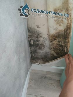Мокрая стена после протечки, ВОДОКОНТРОЛЬ116